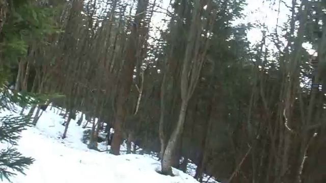 Dave snowpark szczyrk смотреть онлайн