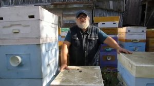 когда обработка от клеща Варроа уже может не помочь от осеннего слета пчел, и нужно другое средство