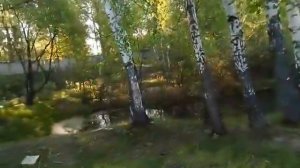 Рыбалка.пруды ГФФ. Белые Столбы