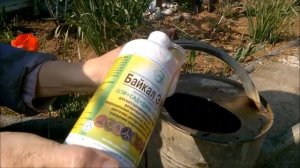 МУЛЬЧА ВЕСНОЙ / МУЛЬЧИРОВАНИЕ ПОЧВЫ / АКТИВНАЯ МУЛЬЧА ПОВЫСИТЬ ПЛОДОРОДИЕ / ОРГАНИЧЕСКОЕ ЗЕМЛЕДЕЛИЕ