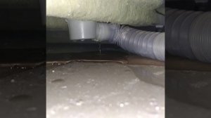 Так протекает сифон душевой кабины