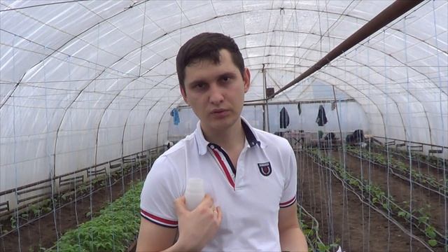 Обработка от Паутинного клеща (преимущество биометода) смотреть онлайн