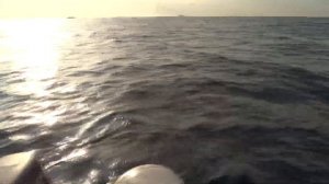 Рыбалка в Новороссийске в декабре Ставрида в море с лодки