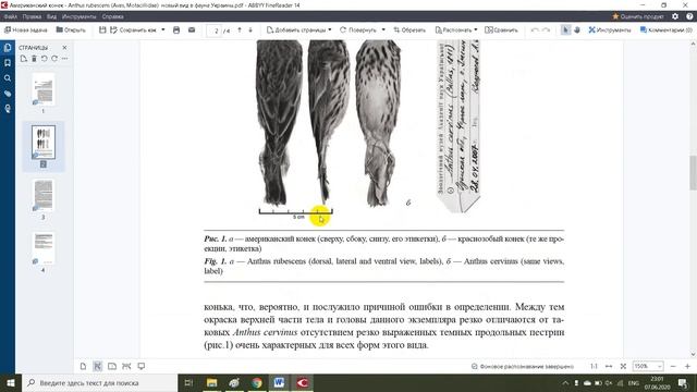 Американская белая бабочка   вредитель городских насаждений, мероприятия по борьбе с ней