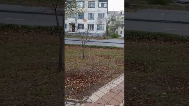 Липецк. Прогулка от Площади Металлургов и до Площади Франценюка. 12 октября. 2023 год.
