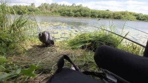Рыбалка на карася в июле