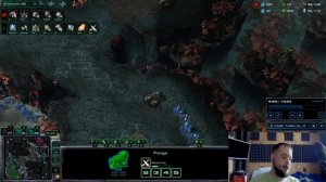 Билд в СТАРГЕЙТ и БАТОНОВ против Зерга. Старкрафт 2 гайд протоссы