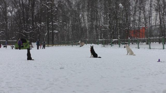 Квалификационные испытания по обидиенс-1 (17/02/2018). смотреть онлайн