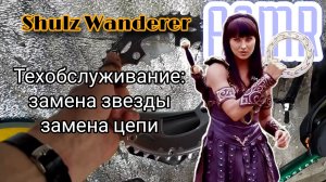 Shulz Wanderer ТО спустя год ASMR