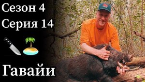 С ножом на кабана. Традиционная охота на Гавайских островах.