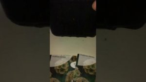 СКАБИОЗА звезчатая(scabiosa  stellata)выращивание из семян,подкормка рассады 13.12.23