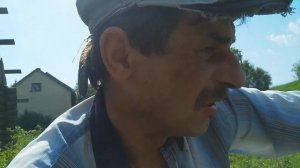 Картофель на целине
