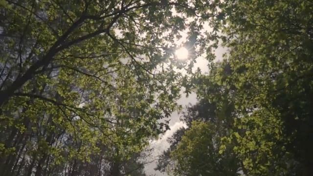 Молитва для детей. Prayer for children. смотреть онлайн