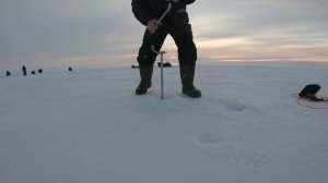 Куйбышевское водохранилище. Рыбалка  в Казани. д .Макаровка