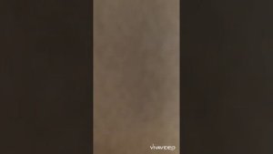 Санкт-Петербург, территория Усть-Славянка, Советский пр-т, 43к1