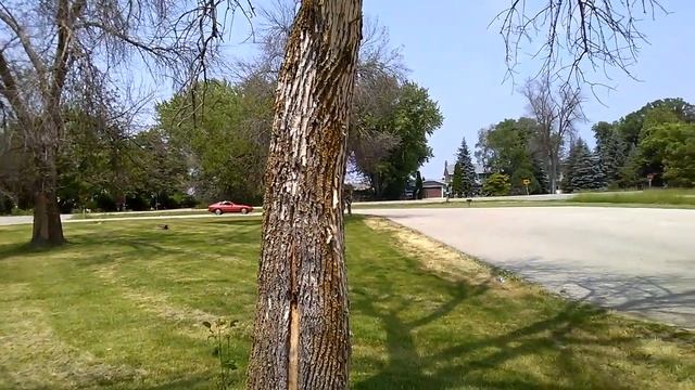 PCARMARKET Auction: Driving 3 - 1981 Porsche 924 Turbo смотреть онлайн