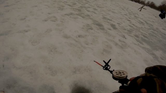 Зимняя рыбалка. р.Самара. Праздничный клёв на 23 февраля. смотреть онлайн