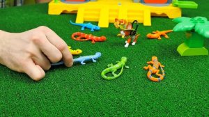 Щенячий Патруль в джунглях и новый герой щенок Трекер - Спасение обезьян от ящериц. Носики Курносик