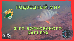 Подводное видео с 3-го Борковского карьера