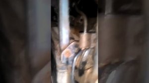 хендай соната 5 замена втулок стабилизатора заднего