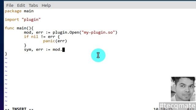 ⚡ Golang Plugins ?Modular Addins In Golang #tecqmate смотреть онлайн