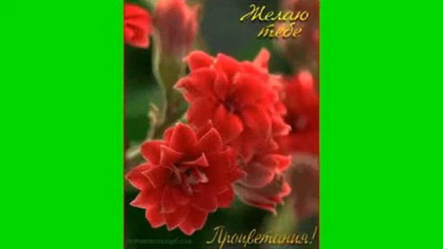 ДЛЯ ТЕБЯ МОЯ ПОДРУГА . смотреть онлайн