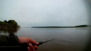 Простая рыбалка на спиннинг на реке Обь! Ловля ЩУКИ