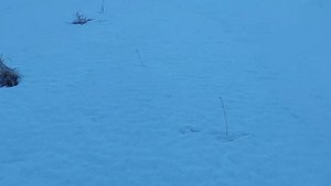 Какой Металл Лежит в Овраге!!! Поиск с Металлоискателем Квазар Арм