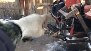 Вилы для Т-16 на заднюю навеску.