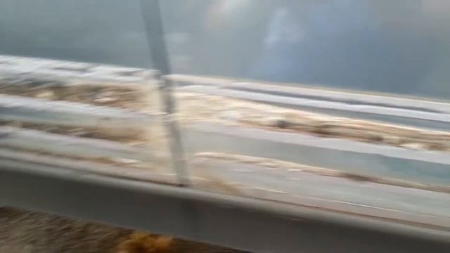 Молдинги на автомобиле! Или как сохранить двери! смотреть онлайн