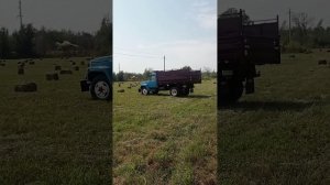 Газ обзор. Газ самосвал. Жаркент. Газ 69. Газ 66. Газ 52. Газ 53. Газ 3307 ремонт. Зил. Камаз.