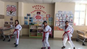 Taekwondo (Tekvando) 1,2,3,4,5. Poomse (Pumse)