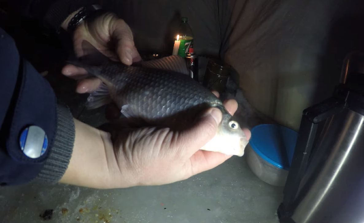 Зимняя рыбалка на озере Уелги. смотреть онлайн