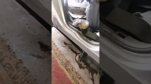 Chrysler Pacifica Перевариваем пороги: день одиннадцатый. Финиш