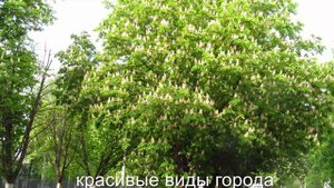 Презентация города Пензы