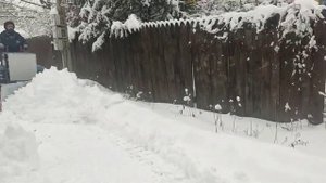 Самодельный гусеничный трактор. Испытание сырым снегом.