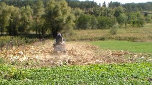 Минитрактор, культивация.