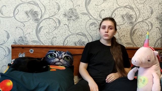 Как помочь коту пережить переезд. Переезд кошки кота