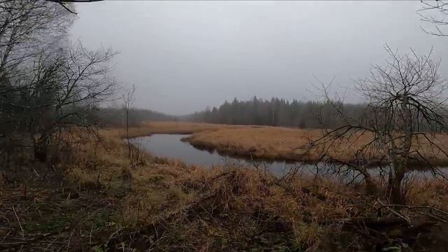 УЕХАЛ ЖИТЬ В ЗАБРОШЕННЫЙ ДОМ.mp4 смотреть онлайн