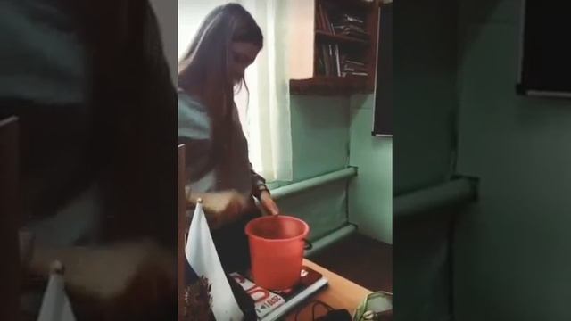 Ух ты какая муха полосатая смотреть онлайн