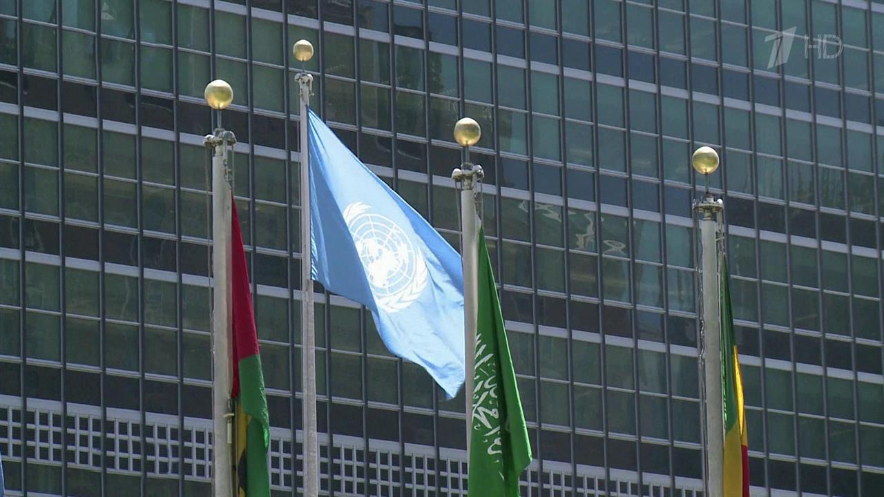 Генеральная ассамблея ООН приняла российскую резолюцию против героизации нацизма