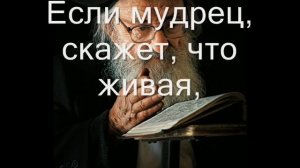 Флештренинг Мудрец и бабочка