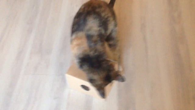 Маленький монстрик по имени Тильда смотреть онлайн