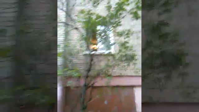 Вылил ведро воды в окно смотреть онлайн