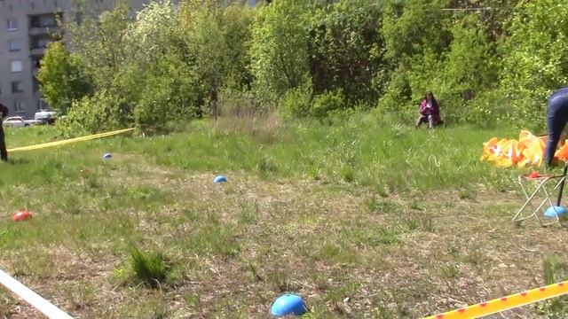 Чистякова Виктория и Хаку веселые старты в красном селе 04.06.17 смотреть онлайн