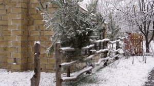 ФАРШИРОВАННЫЕ ЛУКОВЫЕ КРУЖОЧКИ  С ПАСТОЙ Азербайджанская Кухня Деревенская Кухня  Рецепты