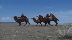 Фёдор Конюхов. По следам Великого шелкового пути. Экспедиция продолжается