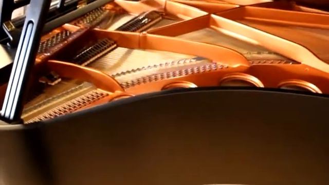 Bösendorfer 200 SSCS - Atlantic Music Center Demo смотреть онлайн