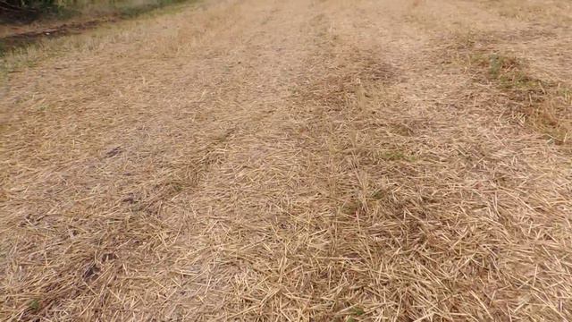 Пасека замерзает в августе!! Ледниковый век возвращается... смотреть онлайн