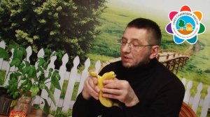 Миф Использование банановой кожуры в огороде